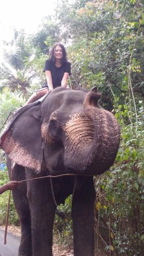 a woman riding on the back of an elephant at Marari Babu Homestay in Mararikulam