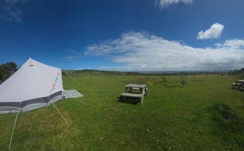 a tent and a picnic table in a field at Emilies Bell Tent in St Ives