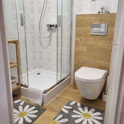 a bathroom with a shower and a toilet at Apartamenty przy Skwerku in Sztutowo