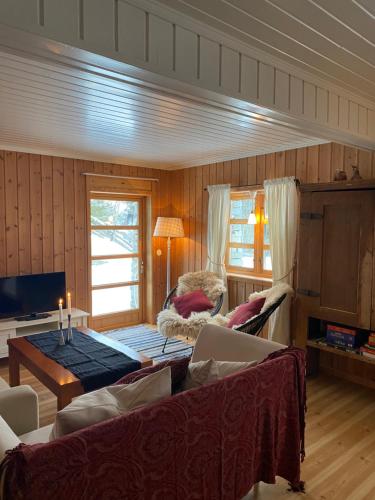 a living room with a couch and a table at Toppastranda 20 in Sør-Fron