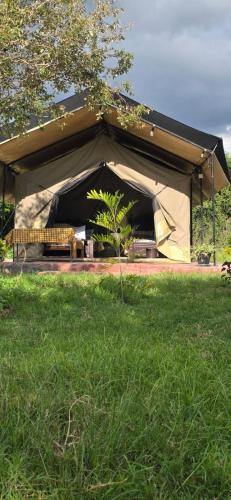 a tent in the middle of a field of grass at Treasure camp in Maasai Mara National Reserve