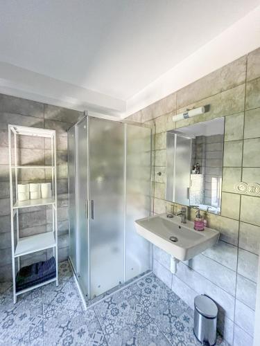 a bathroom with a sink and a shower at Apartmán Proseč-Obořiště in Nová Cerekev
