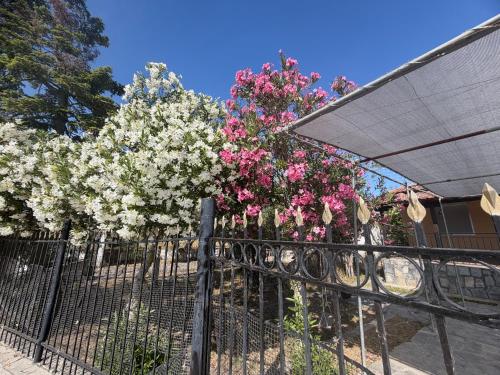 Entire summer house with a big veranda and garden