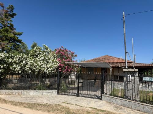 Entire summer house with a big veranda and garden