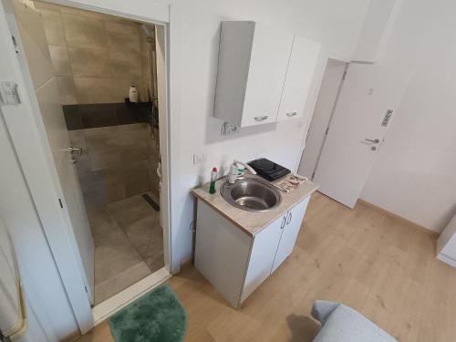 a small bathroom with a sink and a shower at Komforna Soba U Centru #3 in Mladenovac