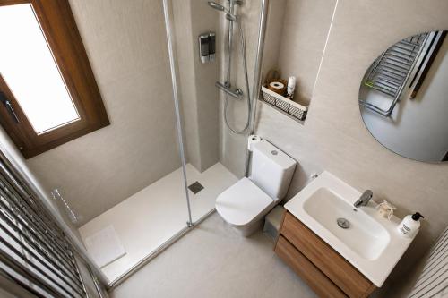 a bathroom with a shower and a toilet and a sink at Casa Santiago in Panticosa