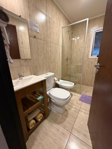 a bathroom with a toilet and a sink and a shower at LOS LIRIOS in Puerto Iguazú