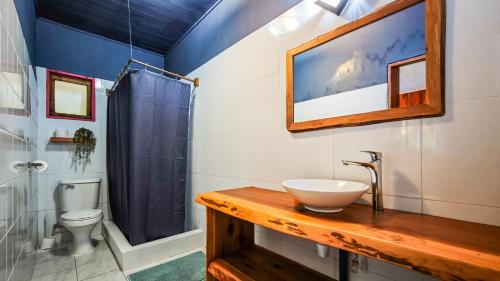 ein Badezimmer mit Waschbecken, Toilette und Spiegel in der Unterkunft Espacio Ecole in Pucón