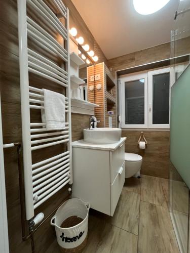 a bathroom with a sink and a toilet at Hiša Čebron in Podnart