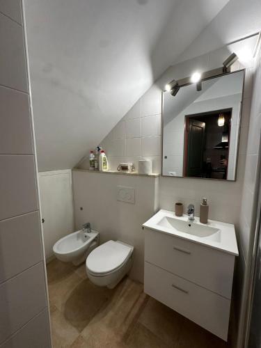 a bathroom with a toilet and a sink and a mirror at Il Nido in Anghiari