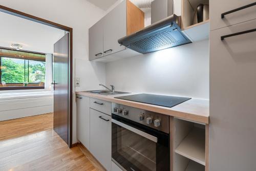 Riverview Apartment - Bad Aussee