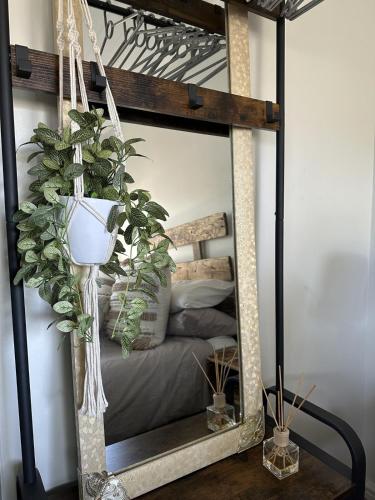 a mirror in a room with a bed and plants at Romantic Tulbagh Getaway in Tulbagh