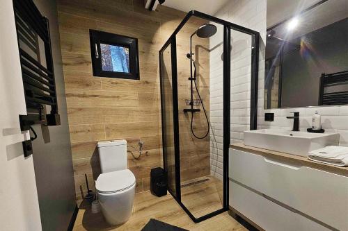 a bathroom with a shower and a toilet and a sink at Paltinu Lake Villas in Teşila