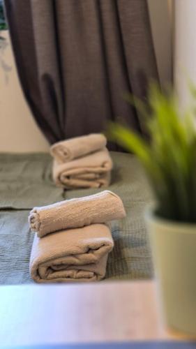 three folded towels sitting on a bed next to a plant at Cute Mini Studio in Kristiansand