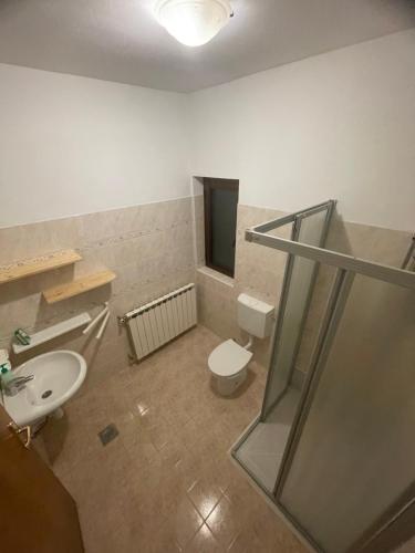 a bathroom with a toilet and a sink and a shower at Soča Kayaker in Čezsoča