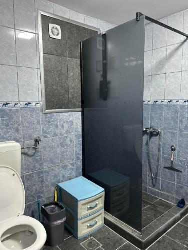 a bathroom with a shower with a toilet and a sink at Stan na dan Čajniče in Čajniče