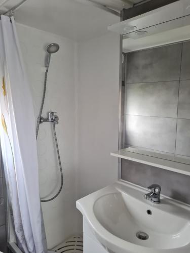 a white bathroom with a shower and a sink at Mobilhome empl 28 in Saint-Martin-aux-Buneaux
