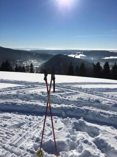 a pair of ski poles standing in the snow at Apartments No.59 Loket in Loket