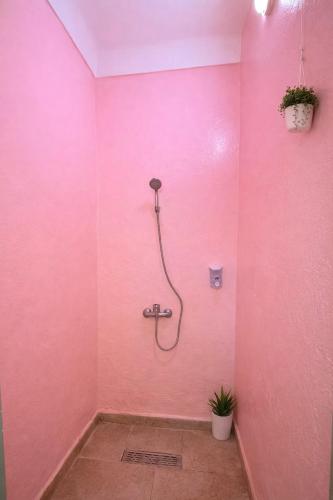 a pink bathroom with a shower in a pink wall at Palm Hostel in Marrakesh