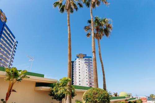 Dream Beach 1 BR Apartment Terrace Dining Pool in Costa Adeje by Aqua Vista Tenerife