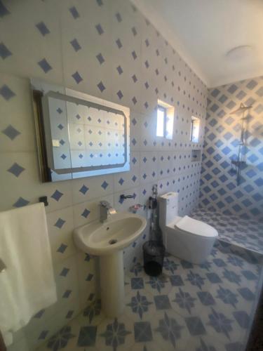 a bathroom with a sink and a toilet at Summerland Lodge in Chembe