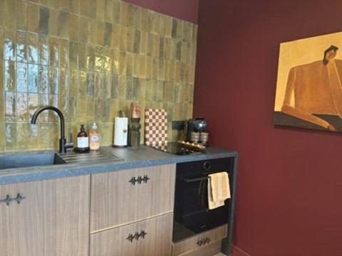 a kitchen with a sink and a stove at LE PORTO RICO, Hypercenter, Air conditioning in Mâcon