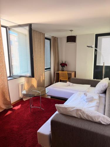 Salzburg City Appartement