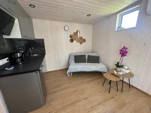 a kitchen with a couch and a chair in a room at Dimantu nami in Upesgrīva