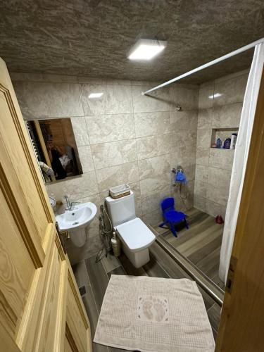 a bathroom with a toilet and a sink and a shower at TRIA APART OTEL in Uzungöl
