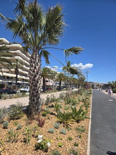 Duplex 75m2, Plage de sable fin à 1 min à pied
