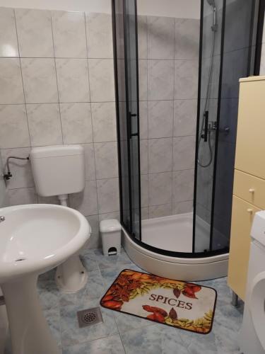 a bathroom with a shower and a book on the floor at Nensi1 in Križišće