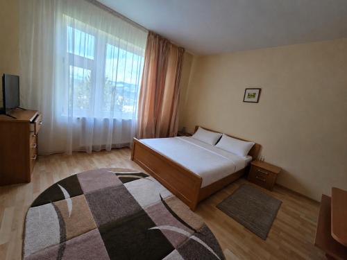 a bedroom with a bed and a window and a rug at Pensiune Excelenta in Vermeşti