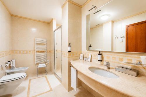 a bathroom with a sink and a toilet and a mirror at Phi Hotel Astoria in Susegana