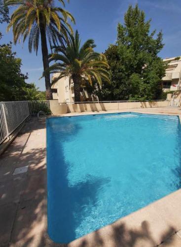 Nice apartment near the Matisse Museum in Nice
