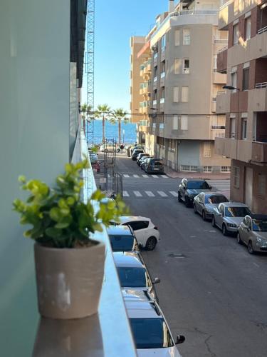 Primera linea Torrevieja