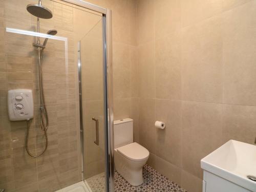 a bathroom with a toilet and a glass shower at The Mews Suskar in Glendarragh