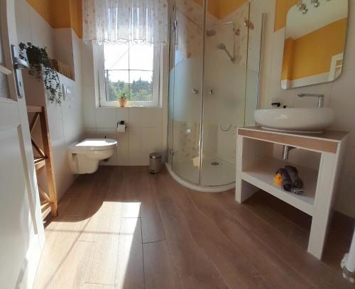 a bathroom with a shower and a toilet and a sink at Sandstein-Oase in Reinhardtsdorf