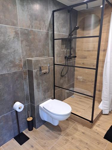 a bathroom with a shower and a toilet at Amber in Ragaciems