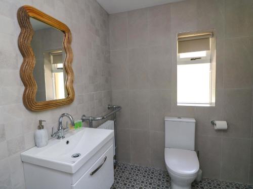 a bathroom with a toilet and a sink and a mirror at The Mews Derrybawn in Glendarragh