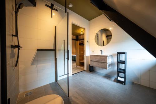 a bathroom with a toilet and a sink and a mirror at Othmar 't Lagerhuys - Groepsaccommodatie in Ootmarsum