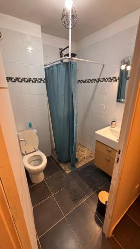a bathroom with a toilet and a blue shower curtain at Studio à Sainte-Marie Studio Calme-Bord de mer avec Piscine in Sainte-Marie