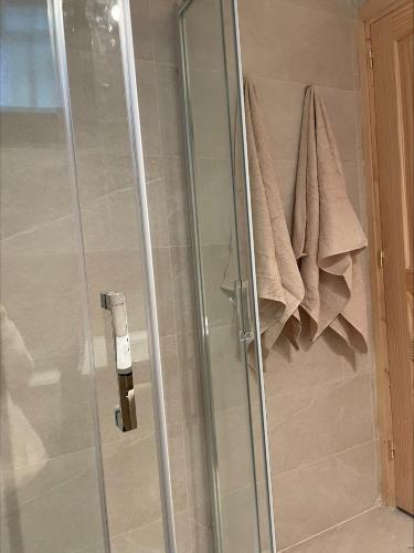 a shower stall with a glass door and towels at El capricho de la Providencia in Gijón