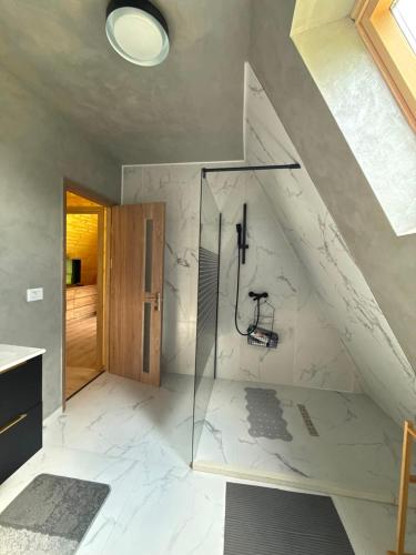 a bathroom with a walk in shower and a glass door at LaMonte Retreat in Brezoi