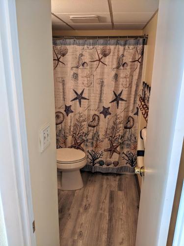 a bathroom with a toilet and a shower curtain at 210 Worcester St #203 OC in Ocean City