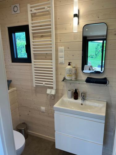 a bathroom with a sink and a mirror at Le Lodge de la Course in Beussent