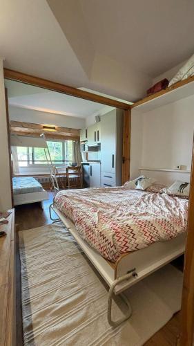 a bedroom with a large bed in a room at Rifugio Artuik 1400 in Marilleva