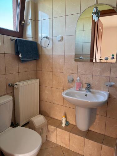 a bathroom with a sink and a toilet and a mirror at Żółta Chata in Władysławowo