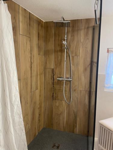 a bathroom with a shower with a wooden wall at FEWO Blockstube Frieda in Kottmar