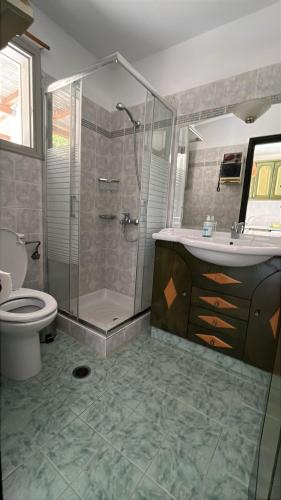 a bathroom with a shower and a toilet and a sink at Paros Casa Prive in Vrachonisída Loúmpinas
