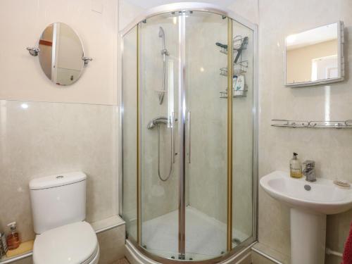 a bathroom with a shower and a toilet and a sink at 51 Colin McLean Road in East Dereham